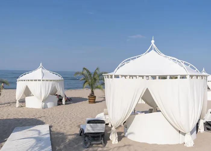 Apartament Oasis & Cozy *