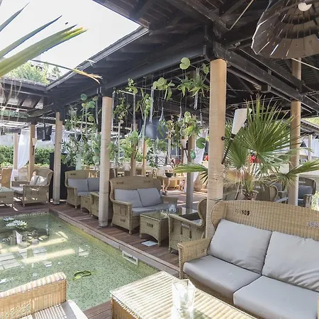 Apartament Oasis & Cozy *